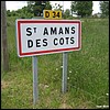 Saint-Amans-des- Côts 12 - Jean-Michel Andry.jpg