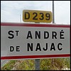 Saint-André-de-Najac 12 - Jean-Michel Andry.jpg