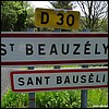 Saint-Beauzély 12 - Jean-Michel Andry.jpg