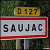 Saujac 12 - Jean-Michel Andry.jpg