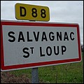 0 Salvagnac-Saint-Loup 12.jpg