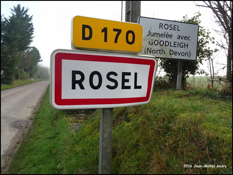 Rosel 14 - Jean-Michel Andry.jpg