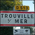 Trouville-sur-Mer 14 - Jean-Michel Andry.jpg