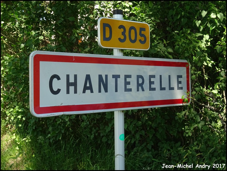 Chanterelle 15 - Jean-Michel Andry.jpg