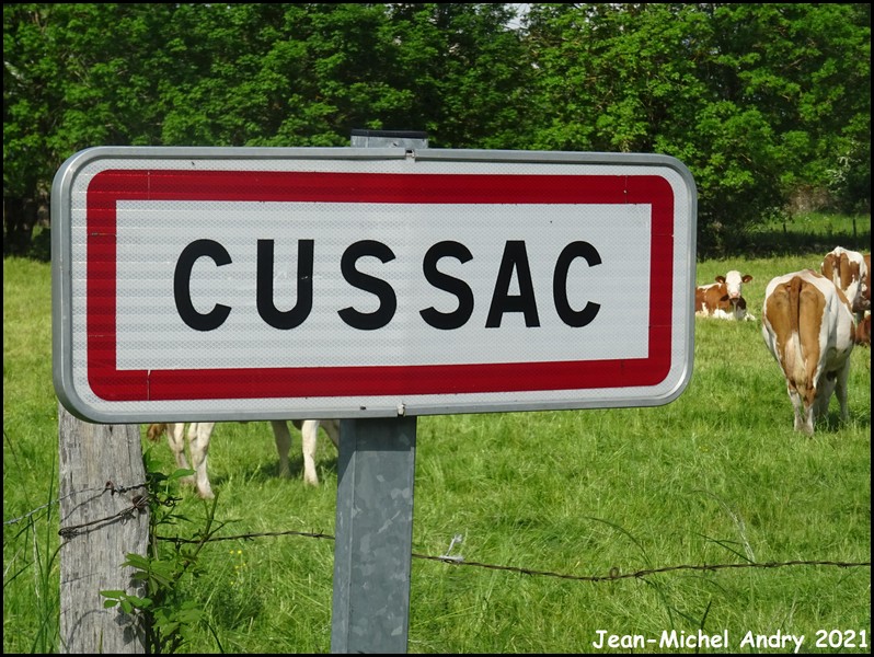 Cussac 15 - Jean-Michel Andry.jpg