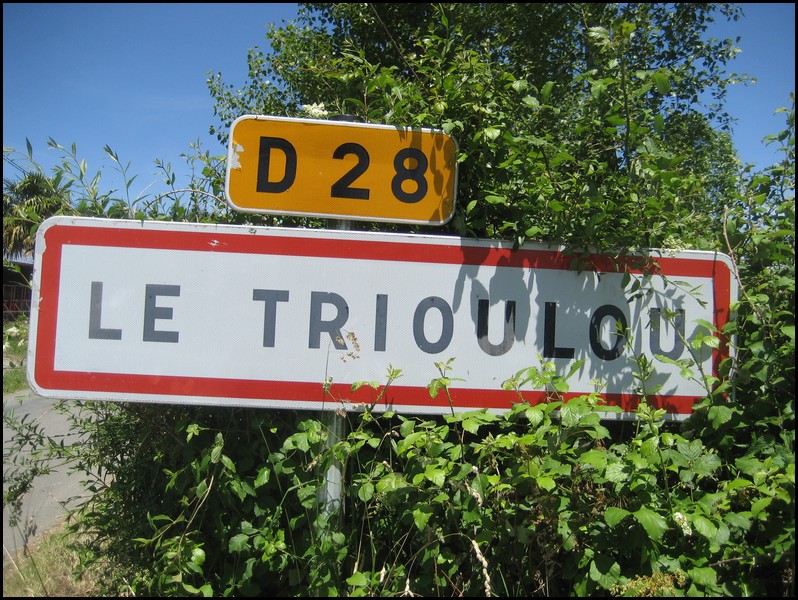 Le Trioulou  15 - Jean-Michel Andry.jpg