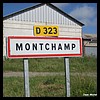 Montchamp  15 - Jean-Michel Andry.jpg