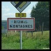 Riom-ès-Montagnes 15 - Jean-Michel Andry.jpg