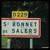 Saint-Bonnet-de-Salers 15 - Jean-Michel Andry.jpg
