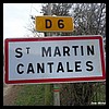 Saint-Martin-Cantalès 15 - Jean-Michel Andry.jpg