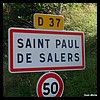 Saint-Paul-de-Salers 15 - Jean-Michel Andry.jpg