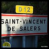Saint-Vincent-de-Salers 15 - Jean-Michel Andry.jpg
