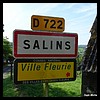 Salins 15 - Jean-Michel Andry.jpg