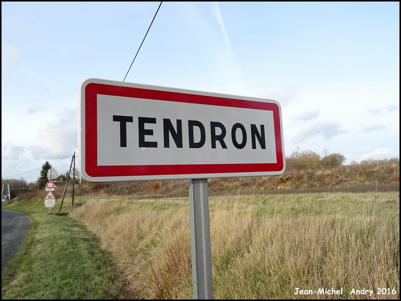 Tendron 18 - Jean-Michel Andry.jpg