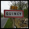 Quincy 18 - Jean-Michel Andry.jpg