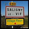 Saligny-le-Vif 18 - Jean-Michel Andry.jpg