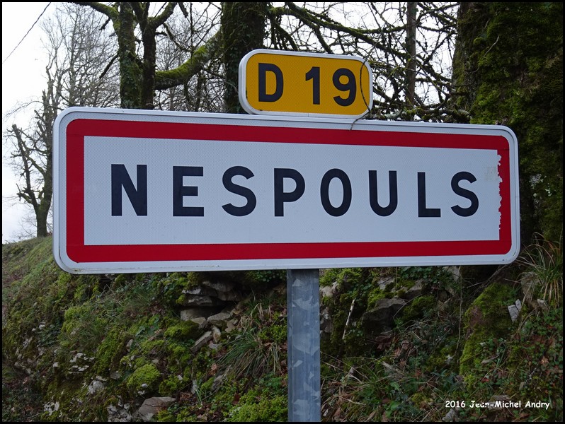 Nespouls 19 - Jean-Michel Andry.jpg