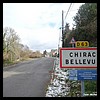 Chirac-Bellevue 19 - Jean-Michel Andry.jpg