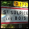 Saint-Sulpice-les-Bois 19 - Jean-Michel Andry.jpg