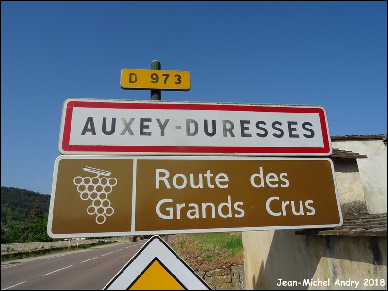 Auxey-Duresses 21 - Jean-Michel Andry.jpg