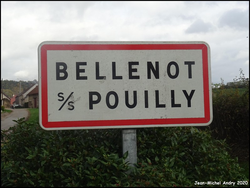 Bellenot-sous-Pouilly 21 - Jean-Michel Andry.jpg