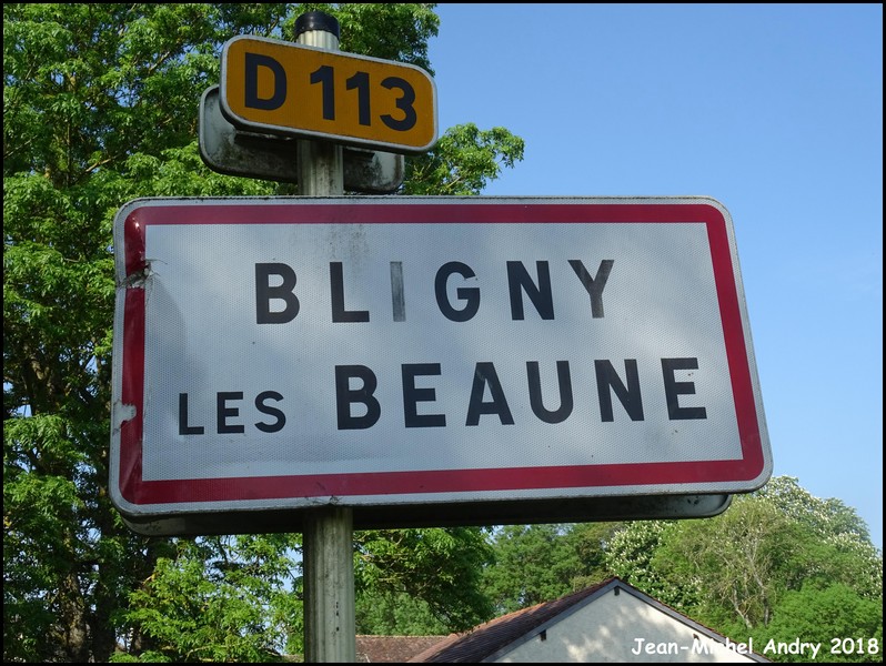 Bligny-lès-Beaune 21 - Jean-Michel Andry.jpg