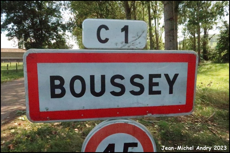Boussey 21 - Jean-Michel Andry.jpg
