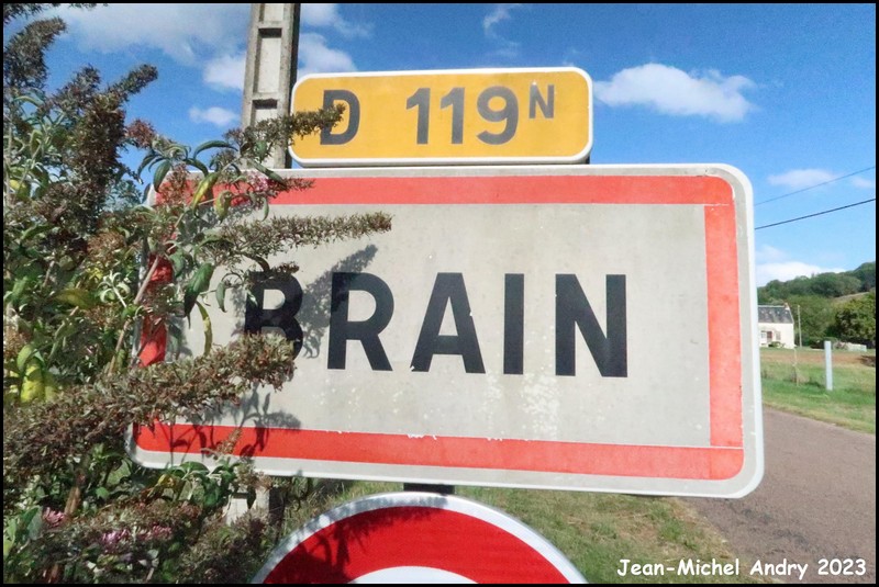 Brain 21 - Jean-Michel Andry.jpg