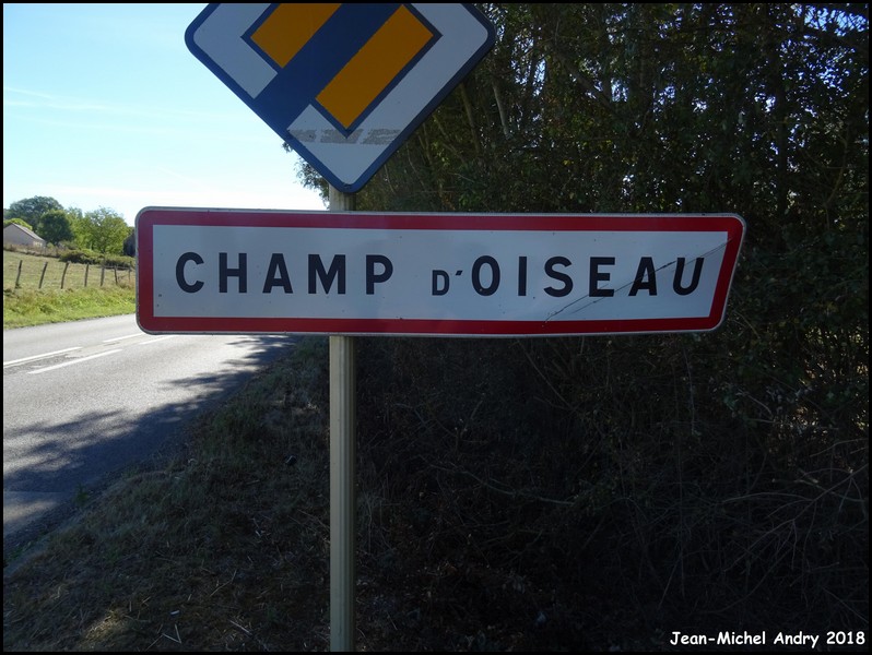 Champ-d'Oiseau 21 - Jean-Michel Andry.jpg