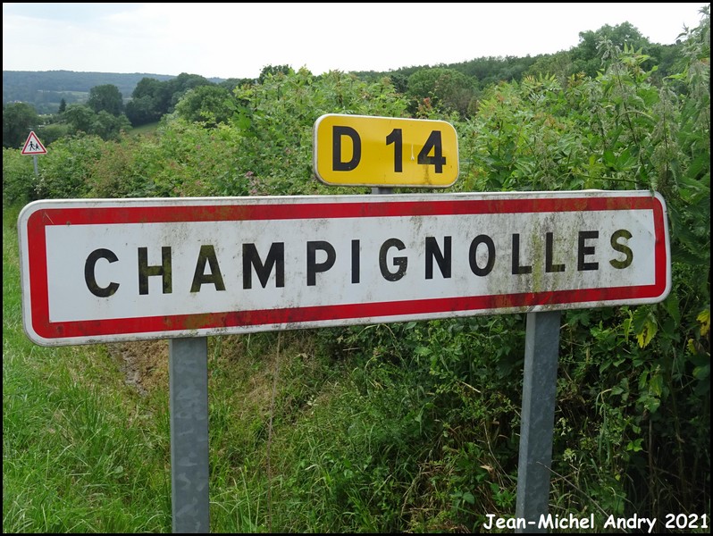Champignolles 21 - Jean-Michel Andry.jpg