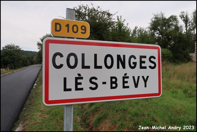 Collonges-lès-Bévy 21 - Jean-Michel Andry.jpg
