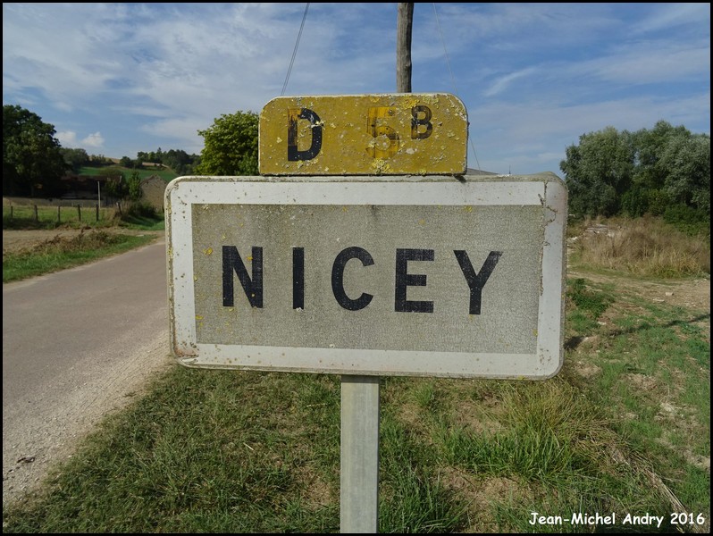 Nicey 21 - Jean-Michel Andry.jpg