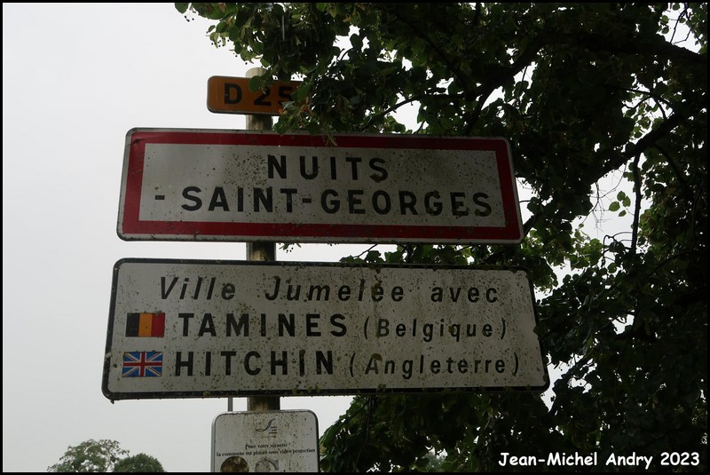 Nuits-Saint-Georges 21 - Jean-Michel Andry.jpg
