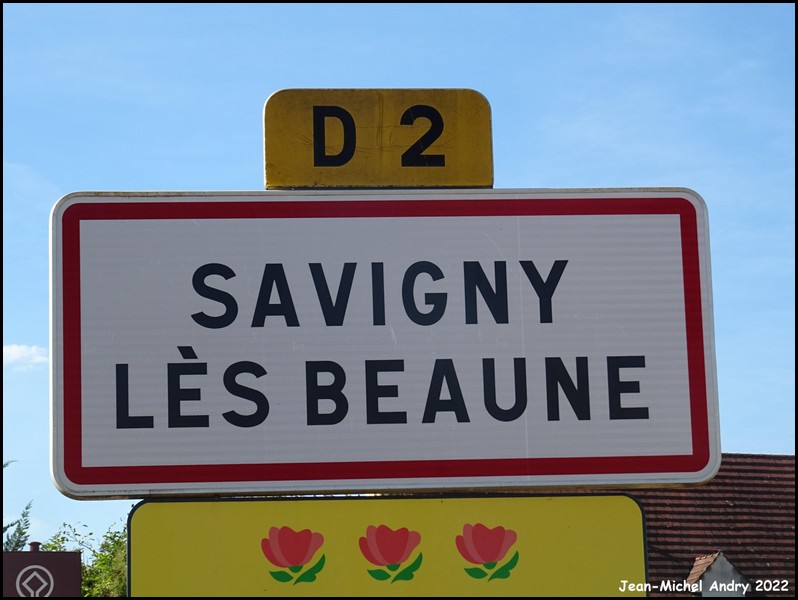Savigny-lès-Beaune 21 - Jean-Michel Andry.jpg