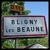 Bligny-lès-Beaune 21 - Jean-Michel Andry.jpg