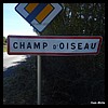 Champ-d'Oiseau 21 - Jean-Michel Andry.jpg