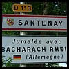 Santenay 21 - Jean-Michel Andry.jpg