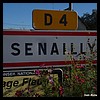 Senailly 21 - Jean-Michel Andry.jpg