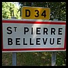 Saint-Pierre-Bellevue 23 - Jean-Michel Andry.jpg