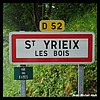 Saint-Yrieix-les-Bois  23 - Jean-Michel Andry.jpg