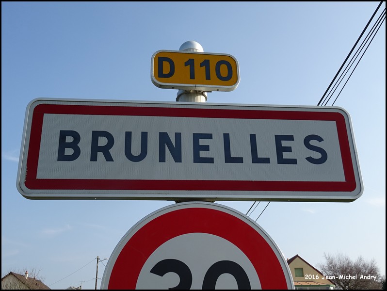 Brunelles  28 - Jean-Michel Andry.jpg