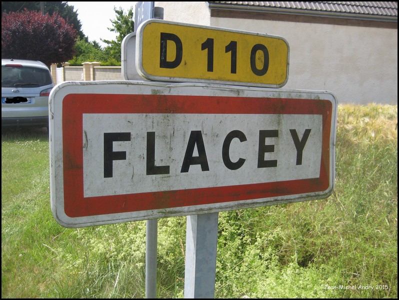 Flacey 28 - Jean-Michel Andry.jpg