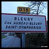 Auneau-Bleury-Saint-Symphorien 2 28 - Jean-Michel Andry.jpg