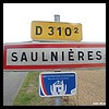 Saulnières 28 - Jean-Michel Andry.jpg