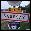 Saussay 28 - Jean-Michel Andry.jpg