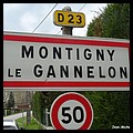 22Montigny-le-Gannelon 28 - Jean-Michel Andry.jpg
