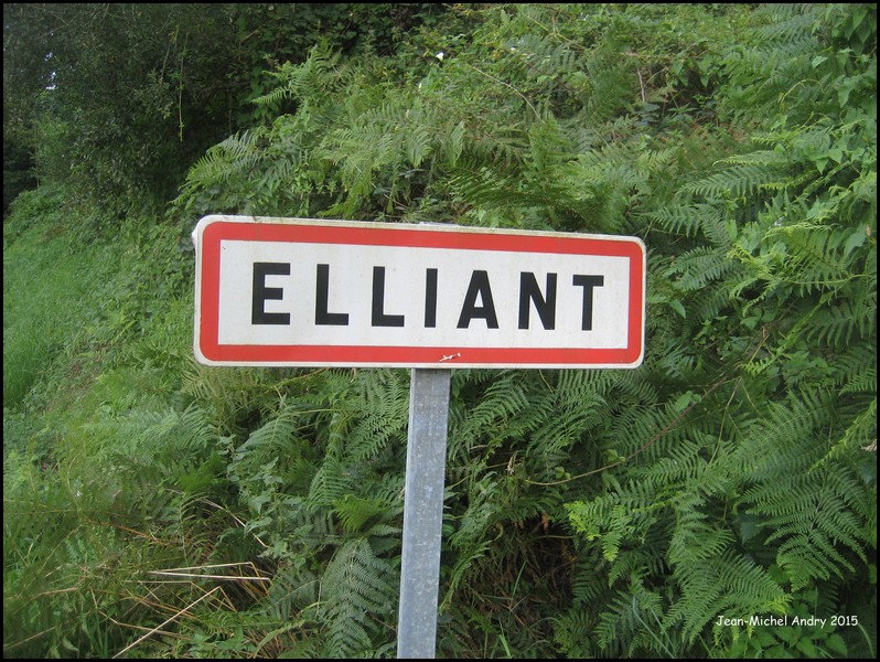 Elliant 29 - Jean-Michel Andry.jpg
