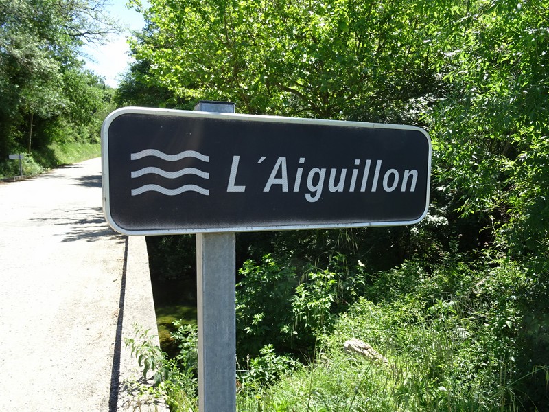 B_AIGUILLON.JPG