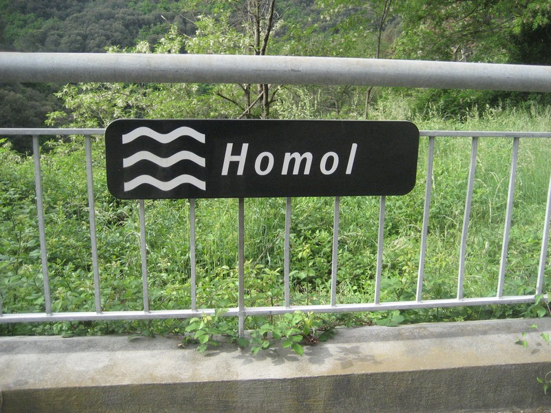 B_HOMOL.JPG