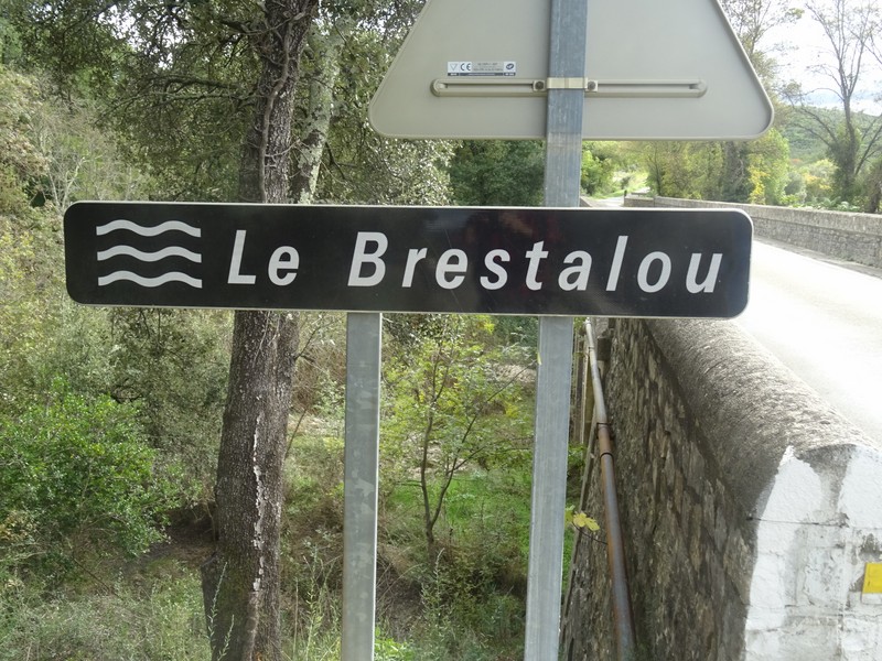 C31_BRESTALOU _Vidourle.JPG